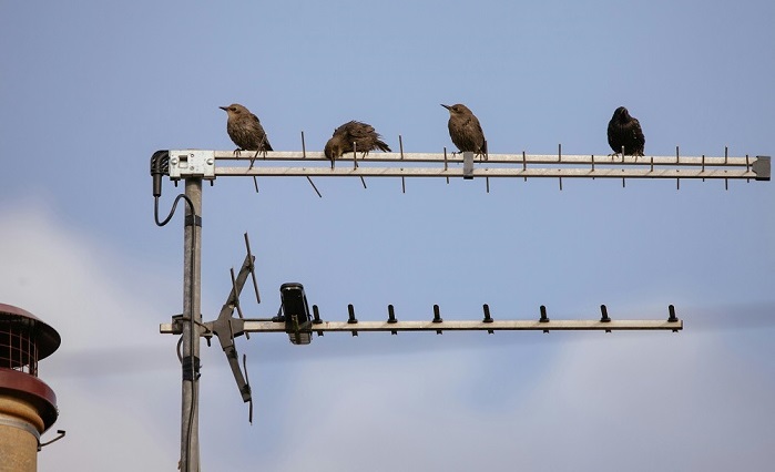 Tv_antenna