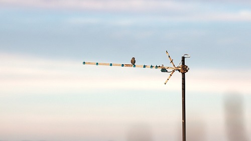 Antenna_arboc