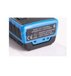 Entel DT953 ATEX PMR446 Handheld Licence Free Walkie Talkie Radio